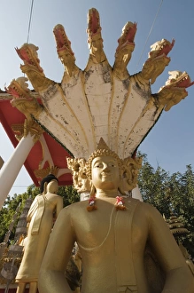 Images Dated 9th January 2008: Wat Si Saket, Vientiane, Laos, Indochina, Southeast Asia, Asia