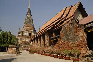 Potted Plant Prints: Wat Yai Chai Mongkhon, Buddhist temple in Ayutthaya
