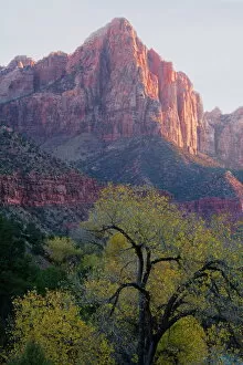 Images Dated 25th November 2007: The Watchman, Zion National Park, Utah, United States of America, North America