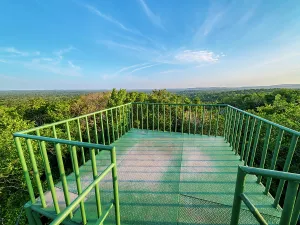 Trail Prints: Watchtower offers view of rainforest landscape in Tikal, Peten Department, Guatemala