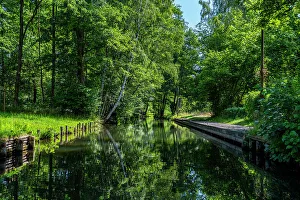 Spree Forest Prints: Water channel, UNESCO Biosphere Reserve, Spree Forest, Brandenburg, Germany, Europe