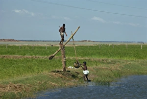 Irrigation Prints: Water collection, Mahabalipuram, near Madras, Tamil Nadu state, India, Asia