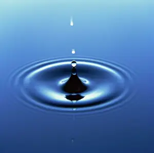 Ripple Prints: Water droplet hitting water surface creating ripples