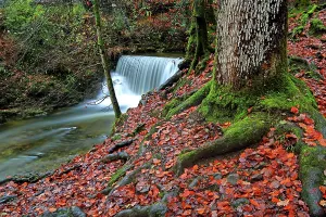 Stones Prints: Water flowing over rocks at Stock Ghyll Force in Ambleside