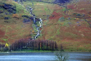 Footpath Prints: Water flows down Buttremere Fell as trees line the shore of the lake during a cloudy day in the Lake District