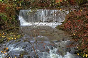 Canyon Prints: Water flows over rocks at Stock Ghyll Force in Ambleside during autumn in Lake District