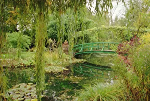 Spring Time Prints: Water garden and bridge, Monets garden, Giverny, Haute Normandie (Normandy)
