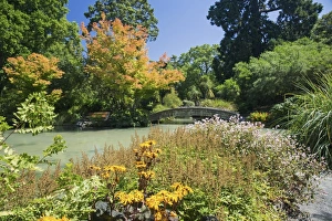 Canterbury Prints: The Water Garden, Christchurch Botanic Gardens, Christchurch, Canterbury, South Island