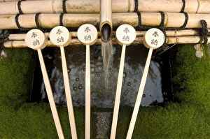 Repeat Prints: Water ladles