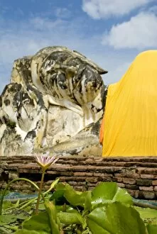 Water lily and Reclining Buddha, Ayuthaya, Thailand, Southeast Asia, Asia