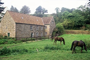 Water Mill Prints: Water mill, Jersey, Channel Islands, United Kingdom, Europe