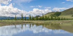 White Lake Prints: Water pond and fir trees in White Lake National Park