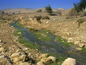 Judean Desert Prints: Water stream running through Judean Desert, Israel, Middle East