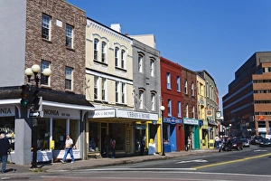 Water Street, St. Johns City, Newfoundland, Canada, North America