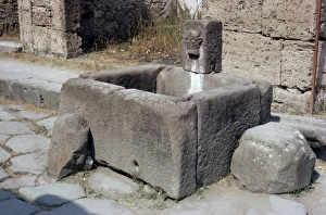 Trough Prints: Water trough