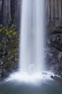Water tumbling upon black basalt columns at famous Svartifoss waterfall in Skaftafell National Park