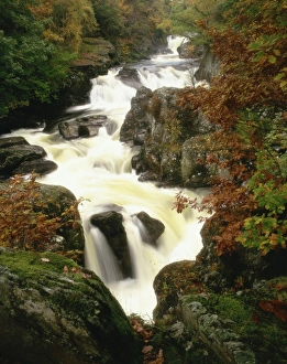 Cascades Prints: Waterfall on Afon Llugwy, Betws-Y-Coed, Wales, United Kingdom, Europe