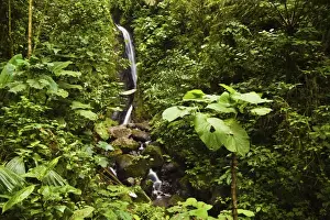 Alajuela Province Prints: Waterfall at Arenal Hanging Bridges where the rainforest is accessible via walkways