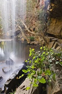 Images Dated 25th December 2007: Waterfall, Deadcock Den, Mitchell River National Park, Victoria, Australia, Pacific