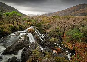 Pure Prints: Waterfall and forest, Killarney National Park