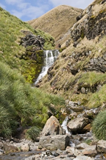 Fortuna Bay Prints: Waterfall, Fortuna Bay, South Georgia, South Atlantic