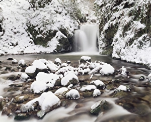 Images Dated 3rd February 2009: Waterfall Geroldsau in Winter, near Baden Baden, Black Forest, Baden Wurttemberg, Germany, Europe