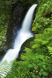 Leinster Prints: Waterfall, Glendalough, County Wicklow, Leinster, Republic of Ireland, Europe