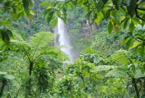 Waterfall, Guadeloupe