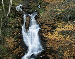 Perthshire Prints: Waterfall, Kenmore