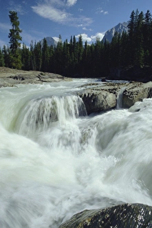 White Water Prints: Waterfall on the Kicking Horse River, Yoho National Park, Rocky Mountains