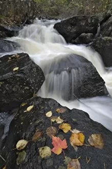 Images Dated 29th September 2007: Waterfall, Louse River, Boundary Waters Canoe Area Wilderness, Superior National Forest