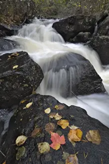 Superior National Forest Prints: Waterfall, Louse River, Boundary Waters Canoe Area Wilderness, Superior National Forest