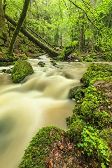 Black Forest Prints: Waterfall at Monbachtal Valley, Black Forest, Baden-Wurttemberg, Germany, Europe