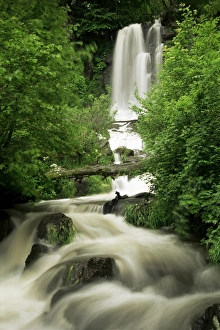 Auvergne Prints: Waterfall near Le Mont Dor, Auvergne, France, Europe