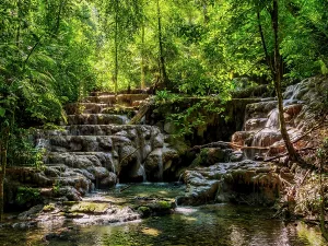 Cascading Prints: Waterfall at the Palenque Archaeological Site, Palenque, Chiapas State, Mexico