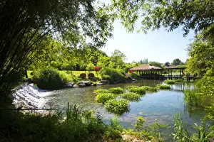 West Lake Prints: Waterfall, pond, bamboo grove and straw roof hut at West Lake, Hangzhou, Zhejiang