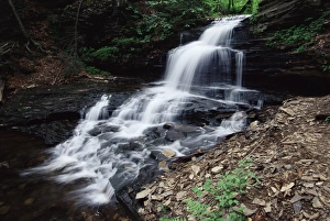 Falls Prints: Waterfall, Ricketts Glen State Park