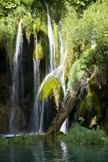 Images Dated 15th August 2008: Waterfalls in the Plitvice Lakes National Park, UNESCO World Heritage Site