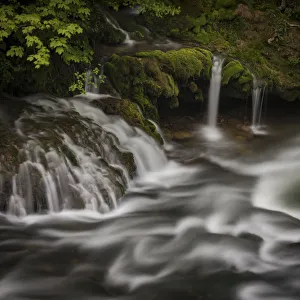 Plitvice Prints: Waterfalls, Plitvice, UNESCO World Heritage Site, Croatia, Europe