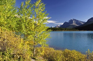 Images Dated 25th September 2009: Waterfowl Lake, Banff National Park, UNESCO World Heritage Site, Rocky Mountains
