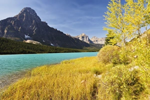Waterfowl Lake and Mount Cephren, Banff National Park, UNESCO World Heritage Site Waterfowl Lake and Mount Cephren, Banff National Park, UNESCO World Heritage Site