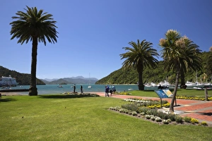 Marlborough Region Prints: Waterfront gardens, Picton, Marlborough Region, South Island, New Zealand, Pacific