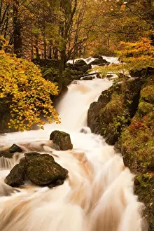 Streams Prints: The waters of Dob Gill in the Lake District in full flow after heavy autumn rainfall