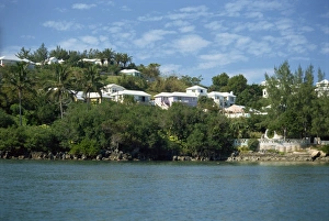 Bungalow Prints: Waterside homes, Bermuda, Atlantic Ocean, Central America