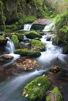 Purity Prints: Watersmeet, Exmoor National Park, Devon, England, United Kingdom, Europe