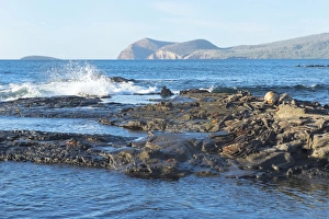 Ecuador Prints: Waves breaking on the coast of Puerto Egas