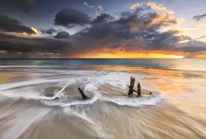 Antigua Prints: The waves and caribbean sunset frames tree trunks on Ffryes Beach