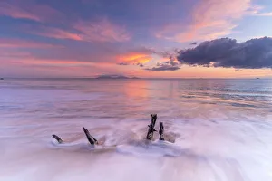 Pink Prints: Waves crashing on tree trunks on sand beach at sunset, Antilles, Caribbean, Central