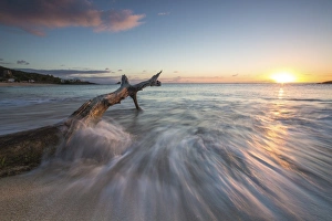 Hawksbill Bay Prints: Waves on a tree trunk on the beach framed by the Caribbean sunset, Hawksbill Bay