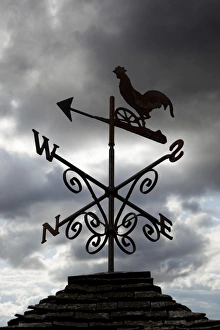 Silhouettes Prints: Weather vane, United Kingdom, Europe